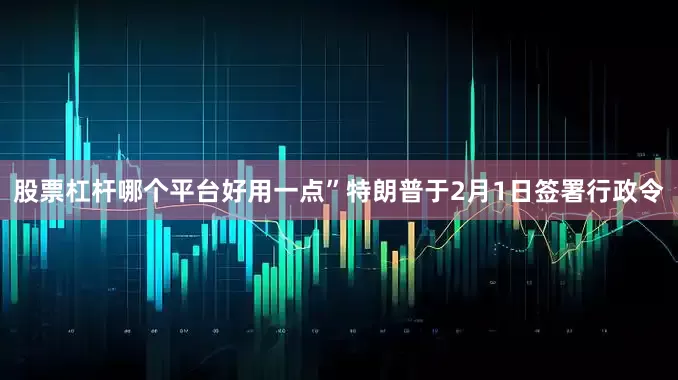 股票杠杆哪个平台好用一点”　　特朗普于2月1日签署行政令