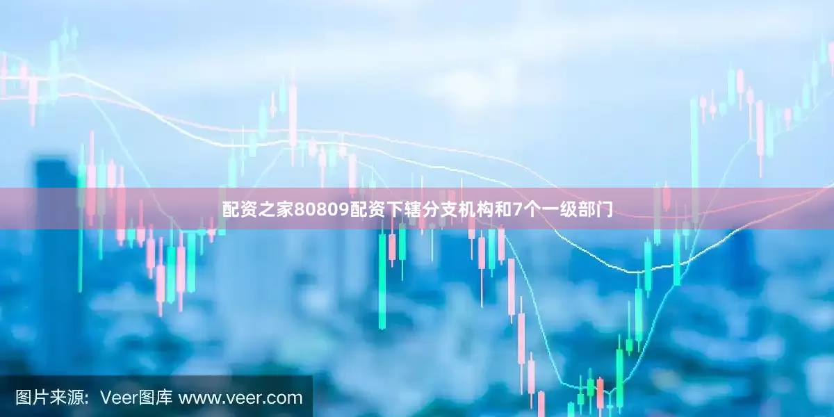 配资之家80809配资下辖分支机构和7个一级部门