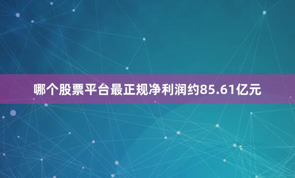 哪个股票平台最正规净利润约85.61亿元