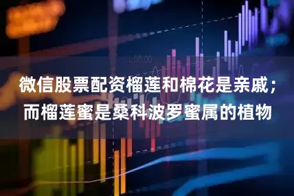 微信股票配资榴莲和棉花是亲戚；而榴莲蜜是桑科波罗蜜属的植物
