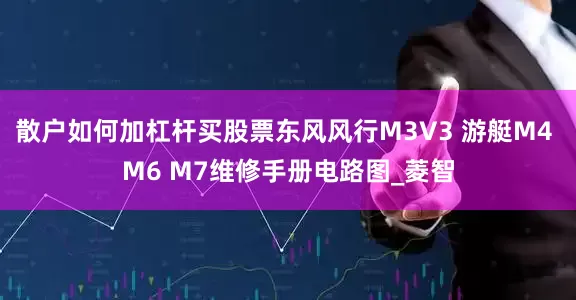 散户如何加杠杆买股票东风风行M3V3 游艇M4 M6 M7维修手册电路图_菱智